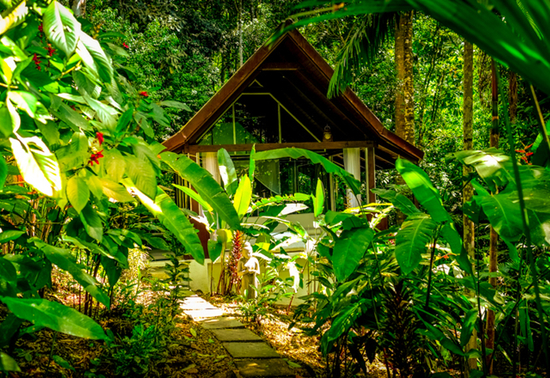 costa-rica-oxygen-jungle-villas